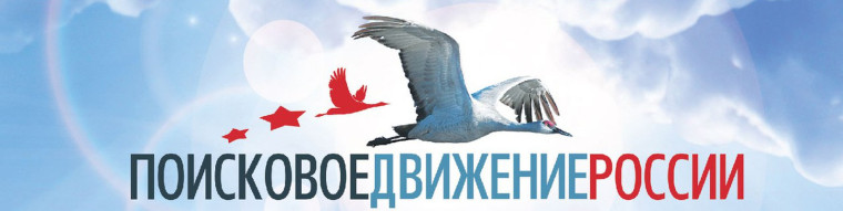 Поисковое движение России. Поисковое движение России.